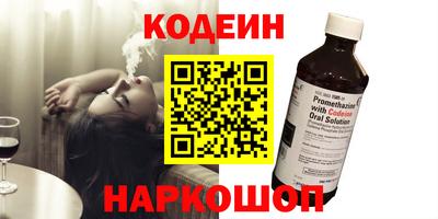 apvp Камышлов