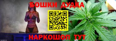 apvp Камышлов