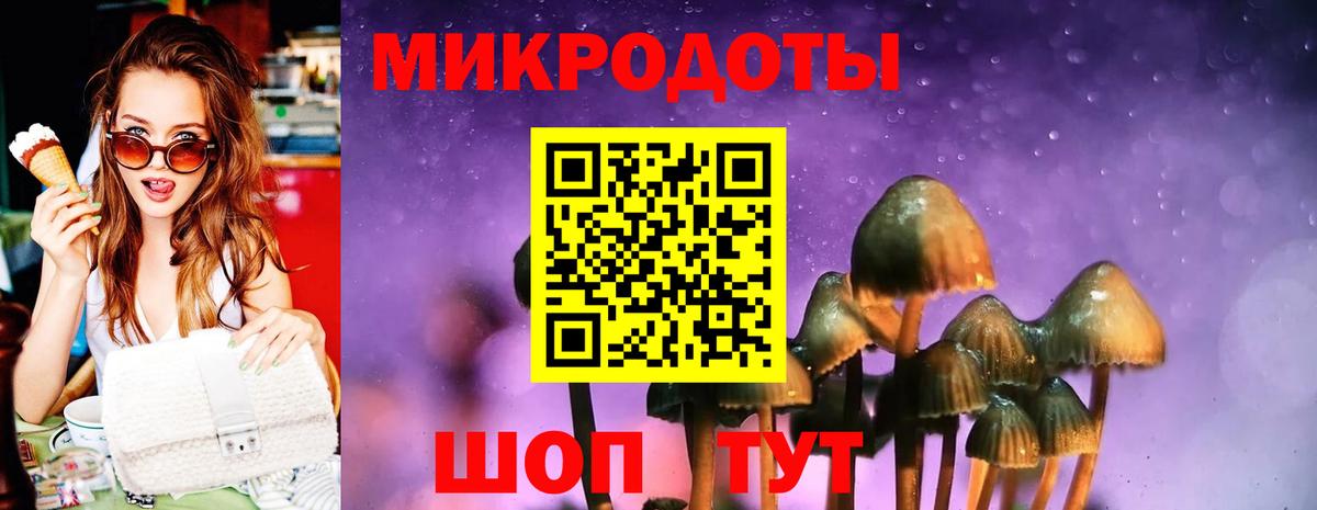 Псилоцибиновые грибы Magic Shrooms Курган